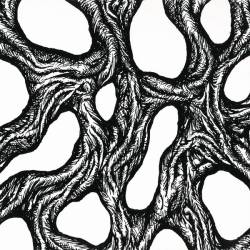 Taakeferd : Når Sirkelen Brytes